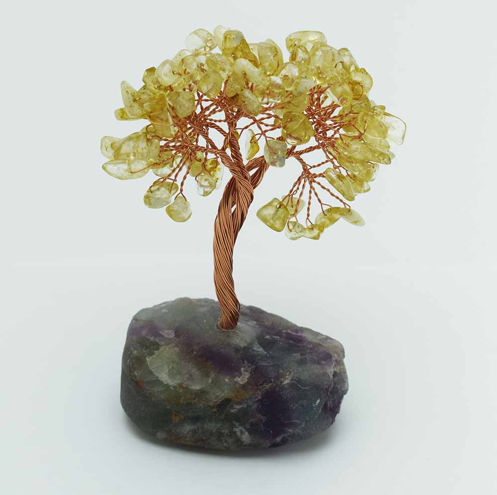 Tree Chip Citrine on Flourite – Cleopatra Trading Limited