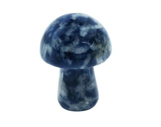 Mushroom Spot Sodalite 20mm